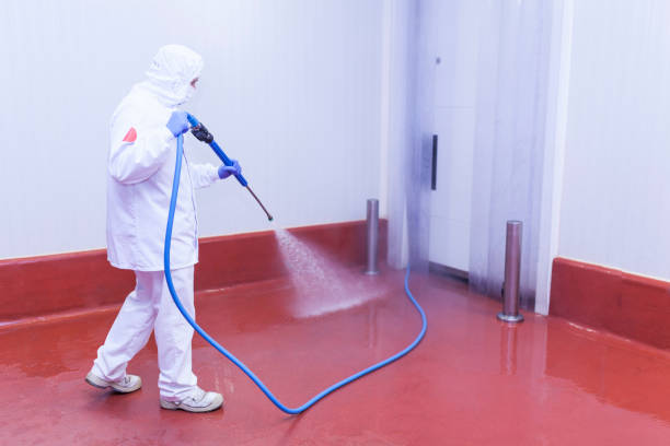 Best Pool Deck Cleaning  in Pine Beach, NJ