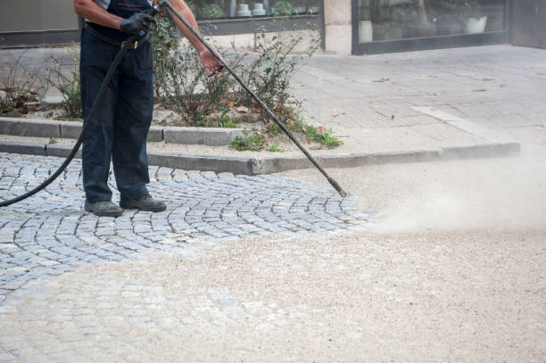Best Sidewalk and Walkway Cleaning  in Pine Beach, NJ
